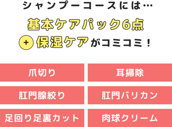 基本ケア6点コミコミ